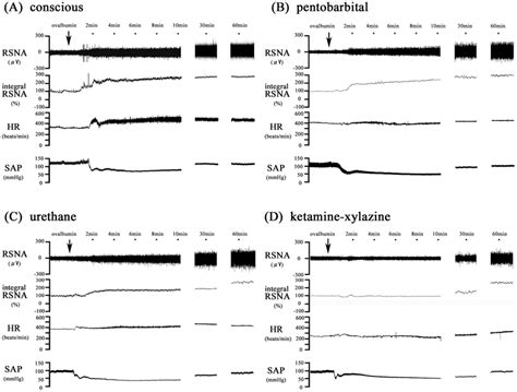 Sympathetic And Hemodynamic Responses To Anaphylaxis In Conscious And