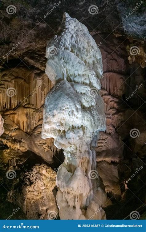 Vertical Picture Of A Giant White Stalagmite Inside Postojna Cave Stock Image Image Of