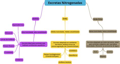 O Que E Excretas - Tipos De Excrecao Em Humanos Os Tipos De Exame De Imagens Enfermagem