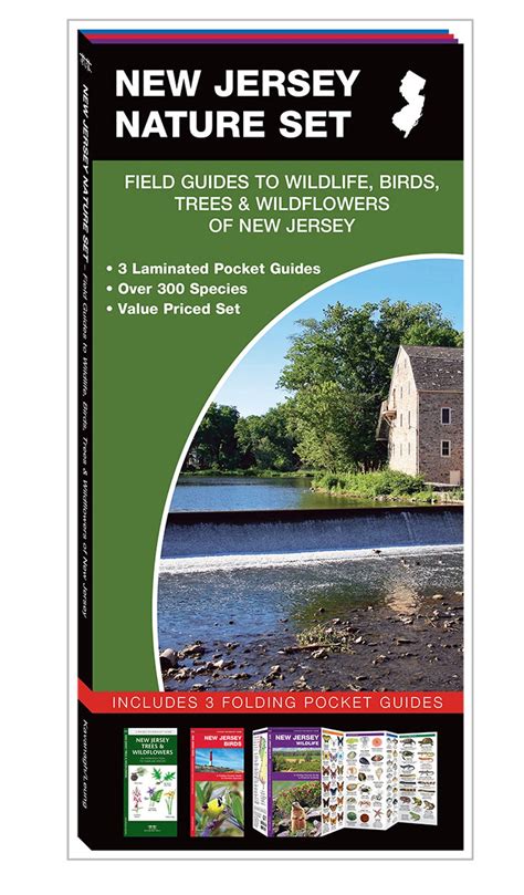 New Jersey Nature Set: Field Guides to Wildlife, Birds, Trees ...