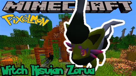 How To Find Witch Hisuian Zorua In Pixelmon Reforged Minecraft Guide