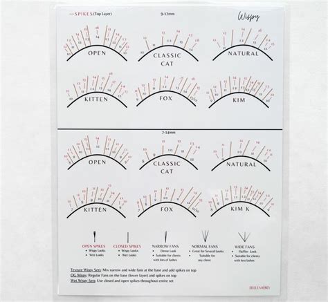 Eyelash Extension Course Eyelash Extension Training Eye Shape Chart