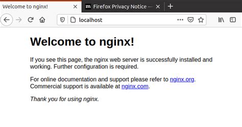 Github Abrilf Instalaci N Y Configuraci N Del Servidor Web Nginx