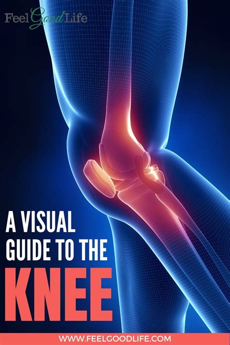 Interactive Infographics For Feel Good Knees Artofit