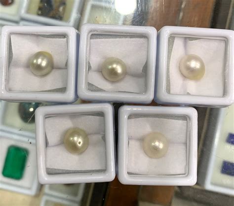 White Natural South Sea Pearls Genuine Certified Pearls Size Round