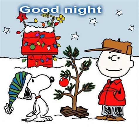 Good Night With Snoopy And Charlie Brown Pictures, Photos, and Images ...