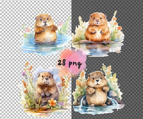 Chubby Beavers Watercolor Clipart Cute Kawaii Cartoon Beavers Baby