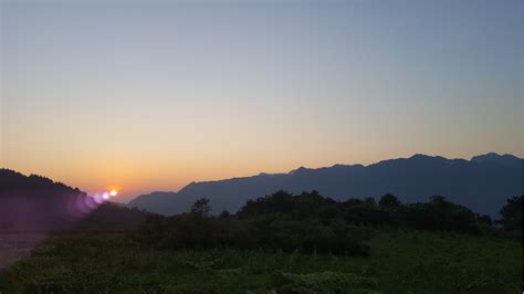 湖湘自然历丨清凉一夏⑩高山峡谷间，有“鹿”有“鱼” 湖湘自然历 新湖南