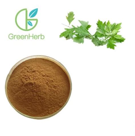 China Artemisia Argyi Extract Manufacturers, Suppliers and Factory ...