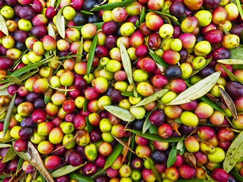 Free Olives Photos Pixabay