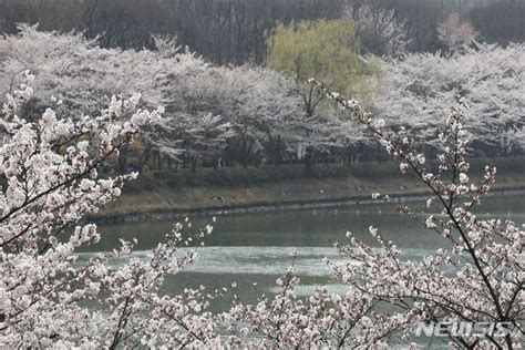 잠실 석촌호수에서 여성 시신 발견경찰 수사 착수