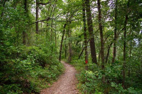 How To Visit Hot Springs, Arkansas | Outdoorsy.com