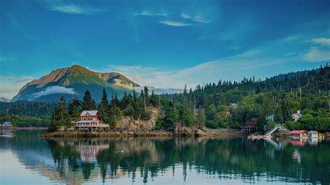 HD wallpaper: tree, kachemak bay state park, north america, alaska ...