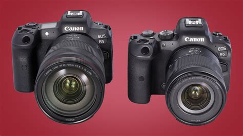 Canon EOS R5 vs. R6: What's the difference? - GearOpen.com