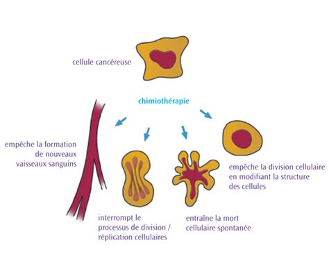 Traitement général par chimiothérapie Lymphoma Canada