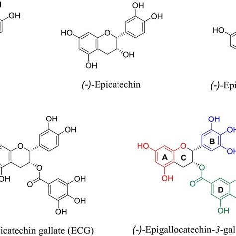 Chemical Structures Of Green Tea Catechins Gtcs Download