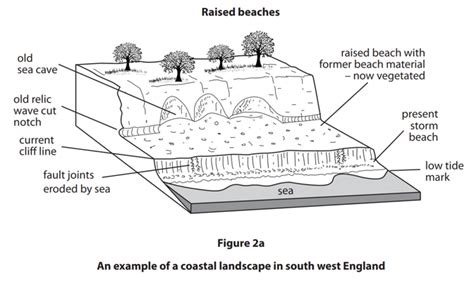 Coastal Environmental Change Edexcel Igcse Geography Revision Notes 2019