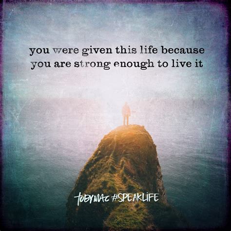 You Were Given This Life Because You Are Strong Enough To Live It