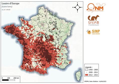 Pr Sentation De La Loutre D Europe Sfepm