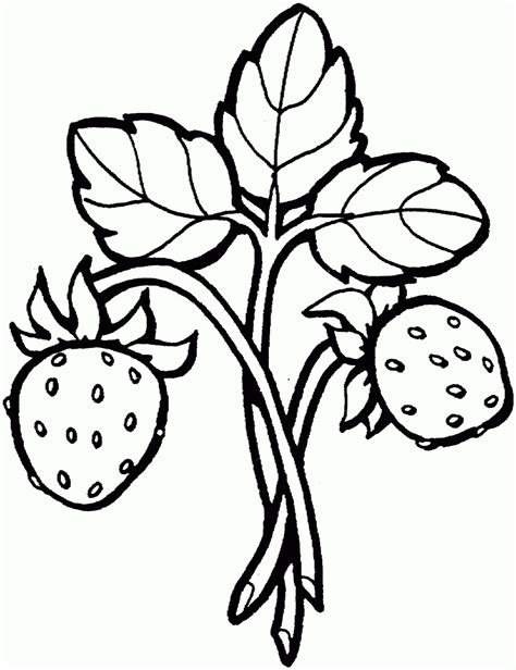 Dibujo De Fresas Para Colorear Dibujos Infantiles De Fresas Colorear