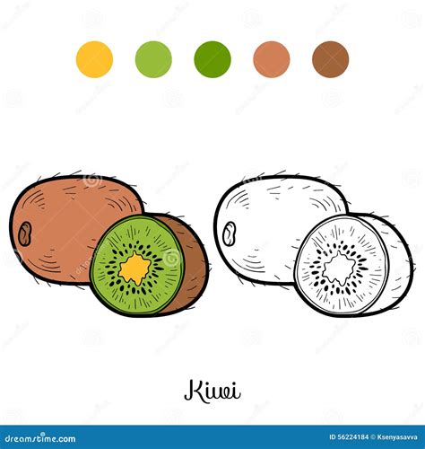 Malbuch Obst Und Gemüse Kiwi Vektor Abbildung Illustration von