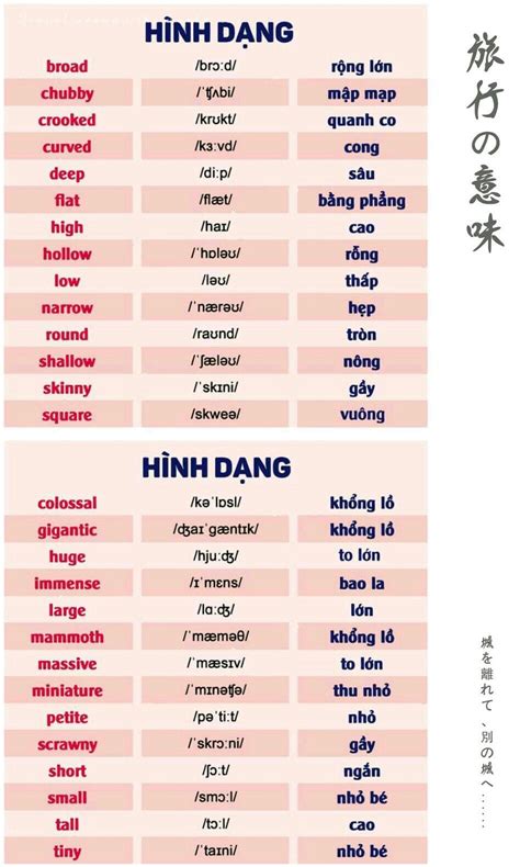 Basic Vietnamese Phrases Useful Vietnamese Words Eviva Tour Artofit