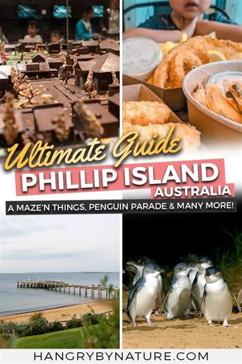 21 Spectacular Phillip Island Attractions for Kids & Families