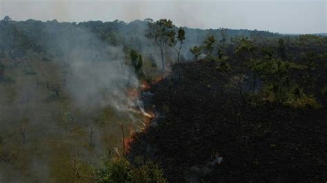 Incendios En La Amazonia Brasileña El Peor Agosto En 12 Años