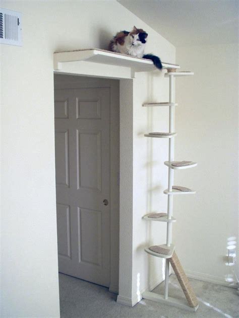 Pvc Cat Tree T To Buy Or Not To Buy A Cat Tree Over The Door Cat Tower