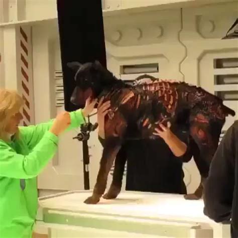 The Zombie dog from the Resident Evil movie, behind the scenes. : r ...