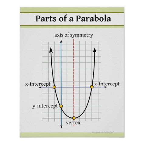 Parabola Parts In Geometry