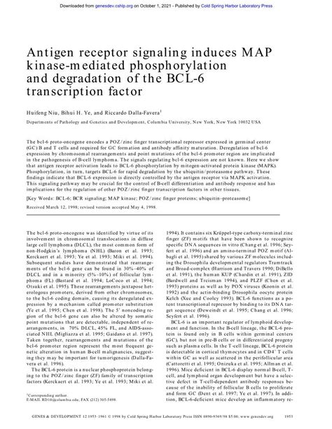 Antigen Receptor Signaling Induces Map Kinase Mediated Phosphorylation