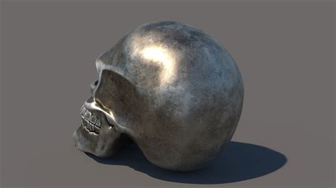 3D Skull Anatomy Model - TurboSquid 1537857