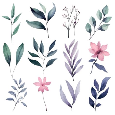 Premium Vector Watercolor Botanical Illustrations Set