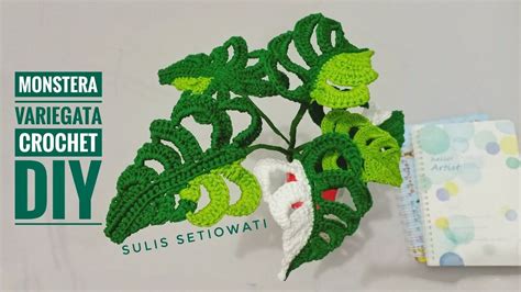 Croch Como Fazer Monstera Variegata Fa A Voc Mesmo Crochet