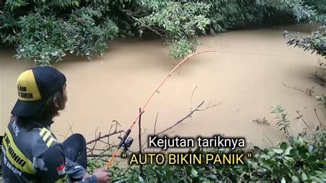 Penuh Kejutan Mancing Di Air Keruh Menggunakan Umpan Kucur Youtube