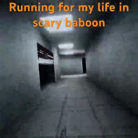 Running For My Life In Scary Baboon Viral Gtag Cool Vr Gorillatag Running Scary