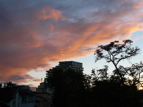 Free Images Tree Horizon Cloud Sky Sun Sunrise Sunset Sunlight