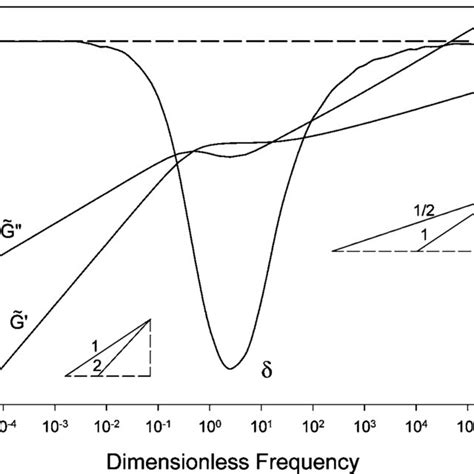 Computed Dimensionless Storage E G G 0 And Loss Moduli E G G 00