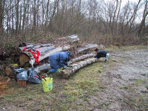 Projekt Naturschutzgebiet H Chstern Balger Natur Umwelt Und