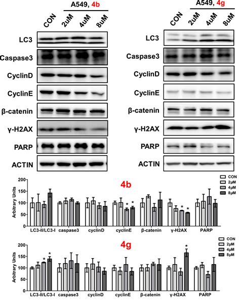 Frontiers Design Synthesis And Antitumour Activity Evaluation Of