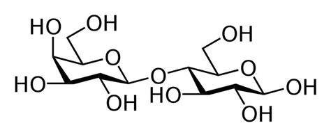 Carbohydrate - Wikipedia | Macromolecules, Molecular biology, Carbohydrates