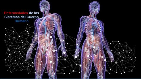 Enfermedades De Los Sistemas Del Cuerpo Humano By Cecilia Santana On Prezi