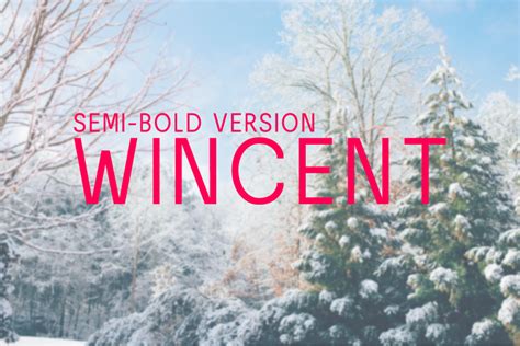 Wincent Semi Bold Font By Nan Design Creative Fabrica