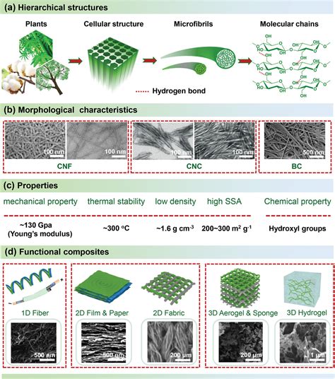 Advanced Nanocellulosebased Composites For Flexible Functional Energy