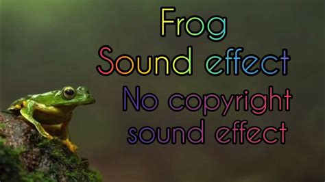 Frog 🐸 Sound Effectfrog Sound Effectno Copyright Sound Effect Free