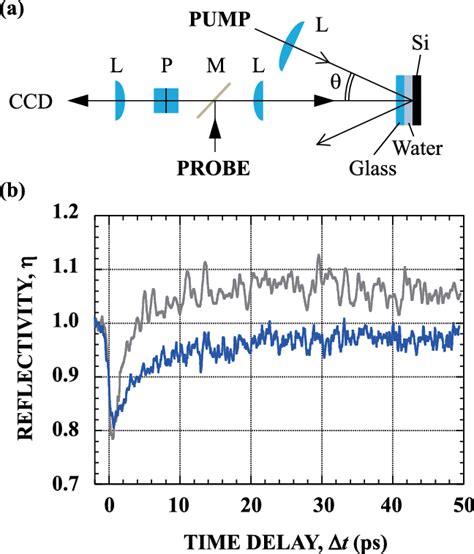 A Schematic Diagram Of The Optical Configuration For Reflectivity