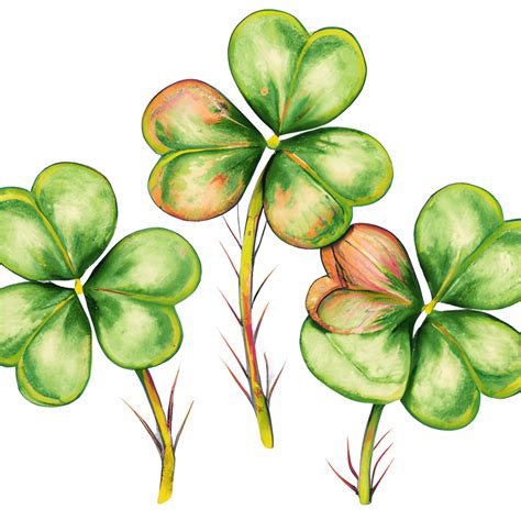 St Patrick S Day Clover Sublimation Clipart Creative Fabrica