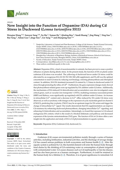 Pdf New Insight Into The Function Of Dopamine Da During Cd Stress