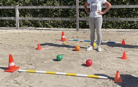 Paardencoaching Workshops En Trainingen Kinderen En Tieners In Je